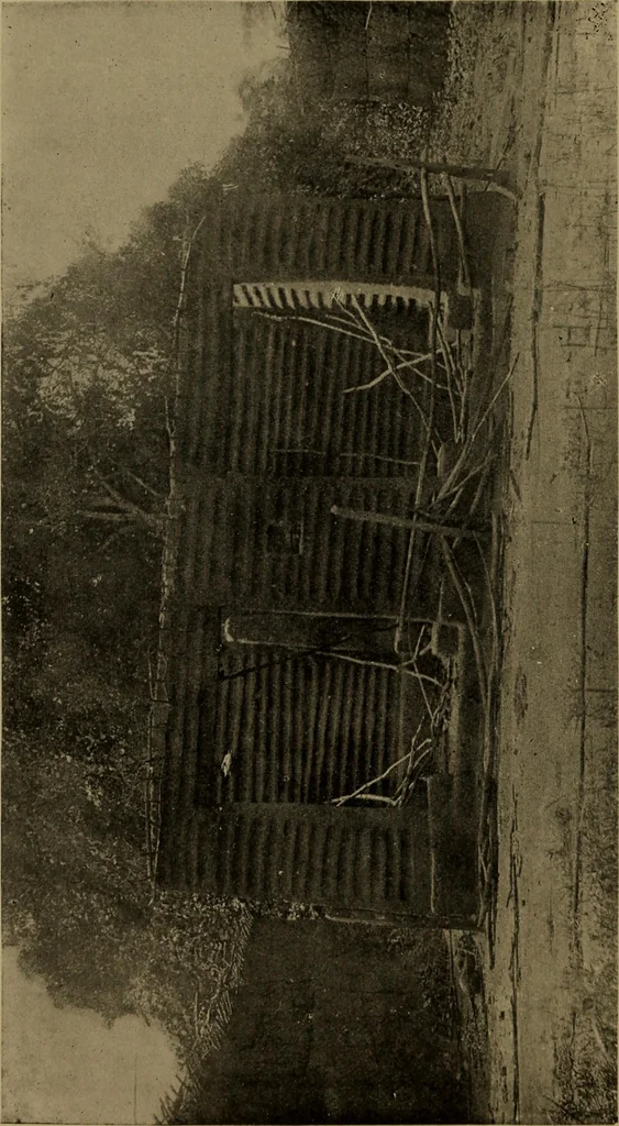 An illustration from Great Benin; its customs, art and horrors, 1903, leaf 184