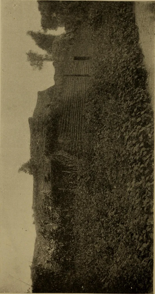 An illustration from Great Benin; its customs, art and horrors, 1903, leaf 190