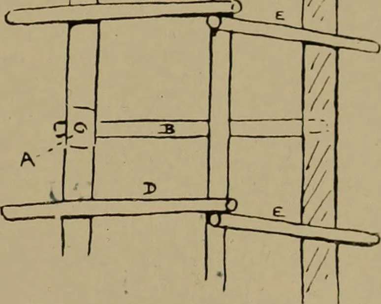 An illustration from Great Benin; its customs, art and horrors, 1903, leaf 191