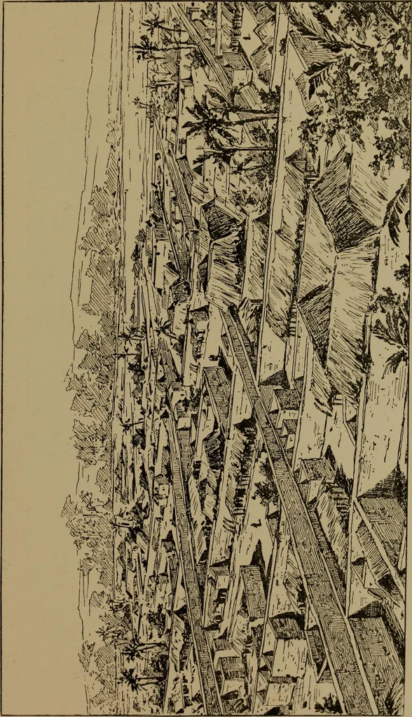 An illustration from Great Benin; its customs, art and horrors, 1903, leaf 193