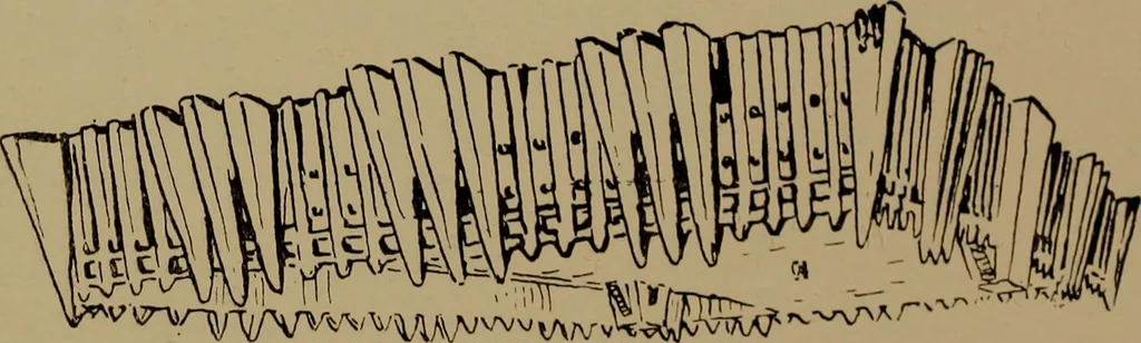 An illustration from Great Benin; its customs, art and horrors, 1903, leaf 197