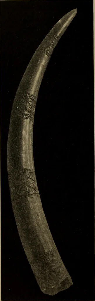 An illustration from Great Benin; its customs, art and horrors, 1903, leaf 206