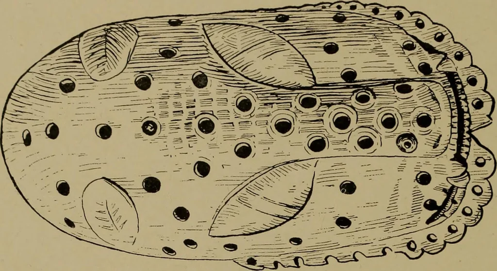 An illustration from Great Benin; its customs, art and horrors, 1903, leaf 212