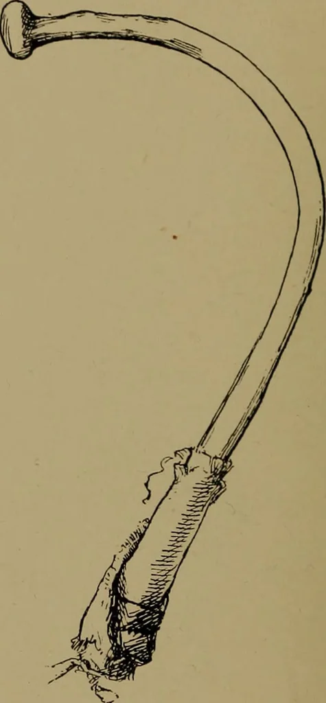An illustration from Great Benin; its customs, art and horrors, 1903, leaf 224
