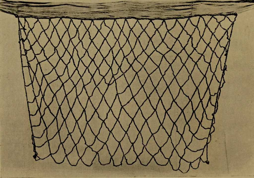 An illustration from Great Benin; its customs, art and horrors, 1903, leaf 36