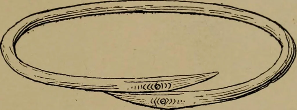An illustration from Great Benin; its customs, art and horrors, 1903, leaf 45