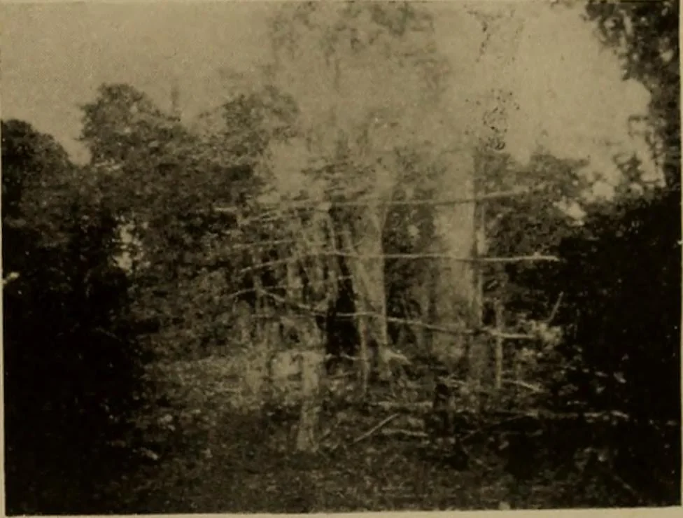 An illustration from Great Benin; its customs, art and horrors, 1903, leaf 65
