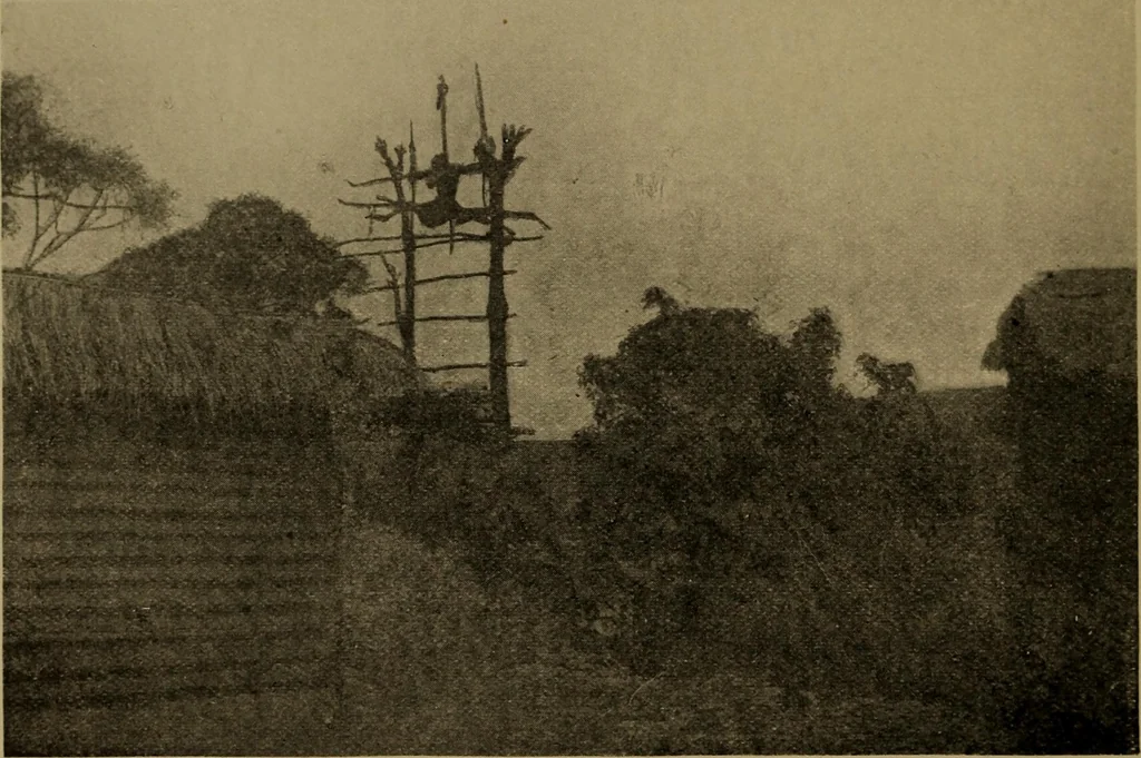 An illustration from Great Benin; its customs, art and horrors, 1903, leaf 66