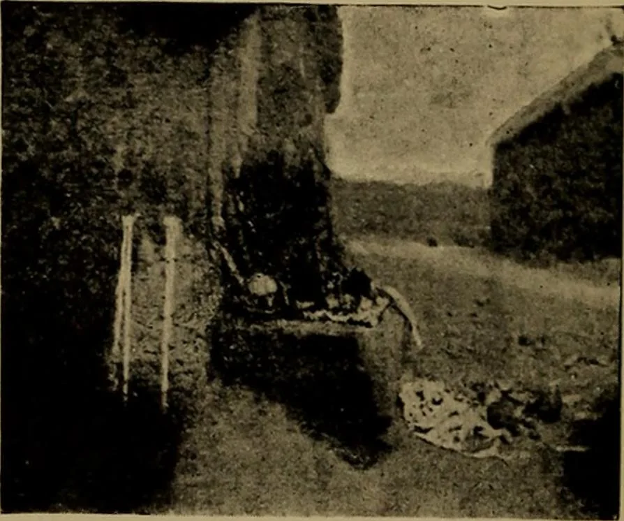 An illustration from Great Benin; its customs, art and horrors, 1903, leaf 68