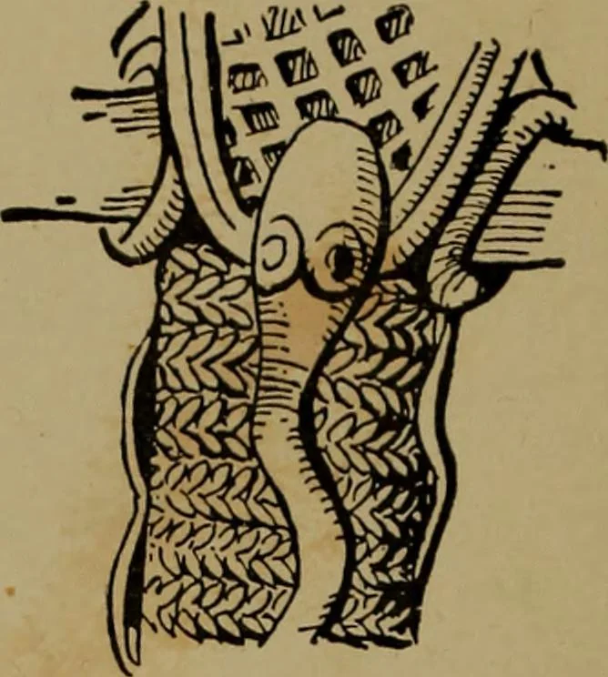 An illustration from Great Benin; its customs, art and horrors, 1903, leaf 70