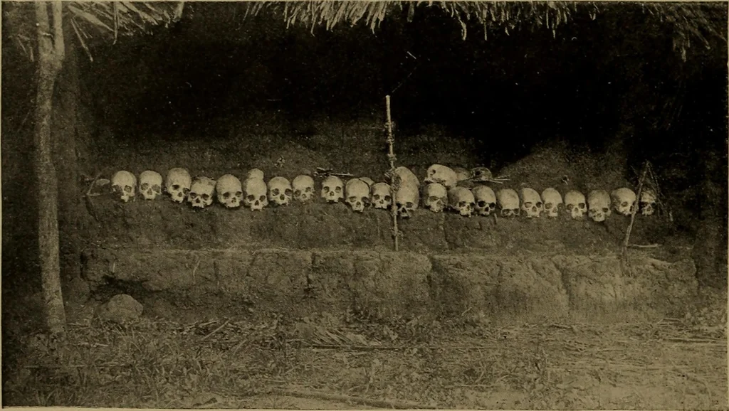 An illustration from Great Benin; its customs, art and horrors, 1903, leaf 78