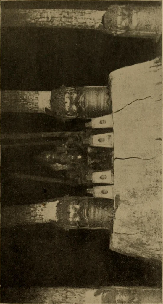 An illustration from Great Benin; its customs, art and horrors, 1903, leaf 93