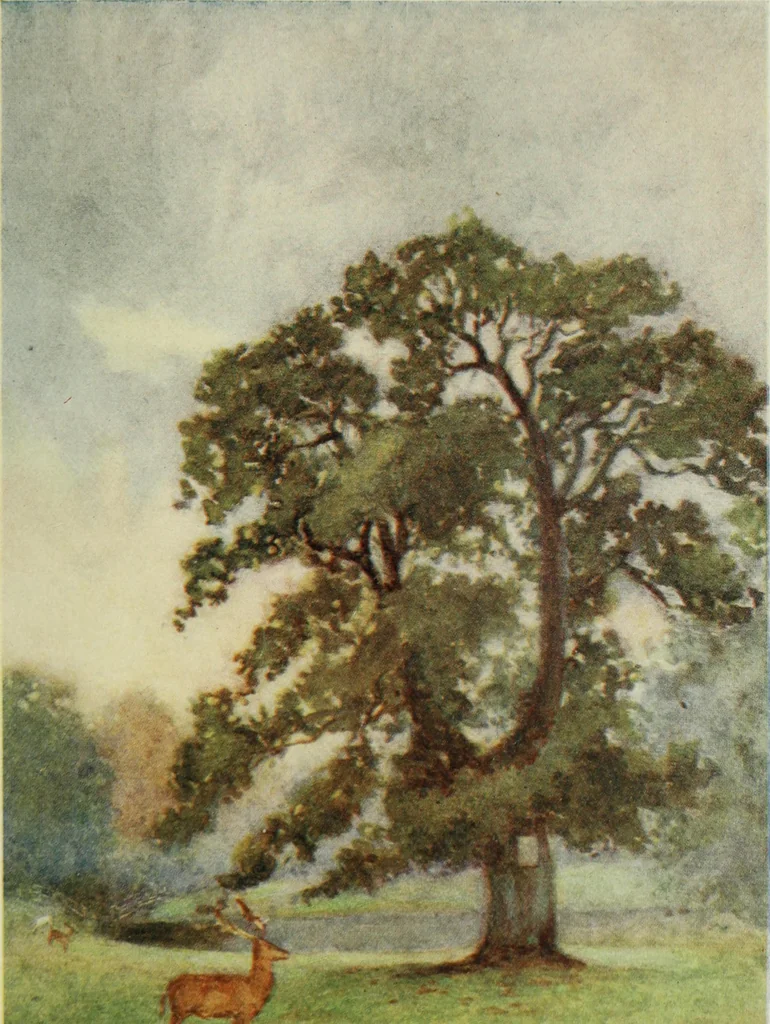 An illustration from The greater abbeys of England, with illustrations in colour after Warwick Goble, 1908, leaf 350