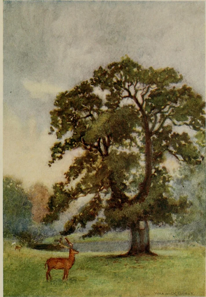 An illustration from The greater abbeys of England, 1908, leaf 343