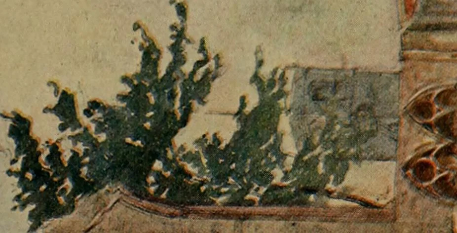 An illustration from The greater abbeys of England, 1908, leaf 205