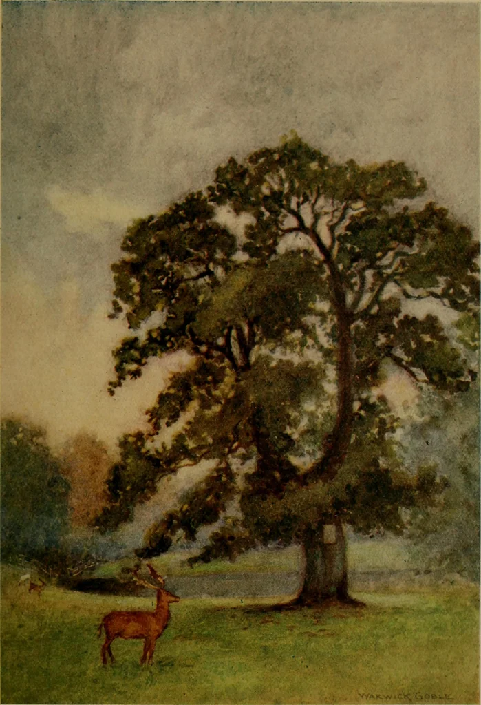 An illustration from The greater abbeys of England, 1908, leaf 341