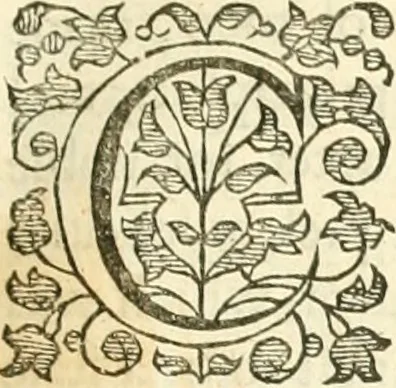 An illustration from The great exemplar of sanctity and holy life according to the Christian institution: described in the history of the life and death of the Ever Blessed Jesus Christ the Saviour of the world. With considerations and discourses upon the severall parts of the story; and prayers fitted to the severall mysteries. In three parts; with many additionals, 1653, leaf 10