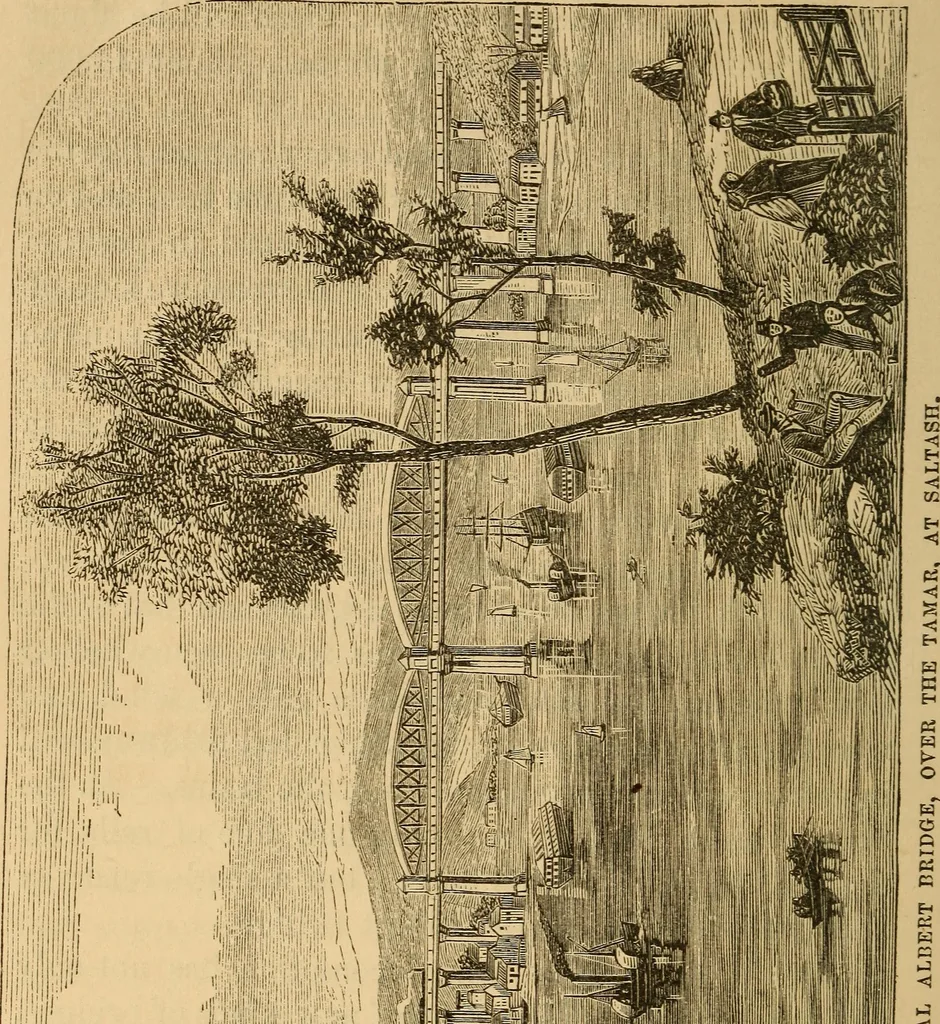 An illustration from Great facts : a popular history and description of the most remarkable inventions during the present century, 1860, leaf 310