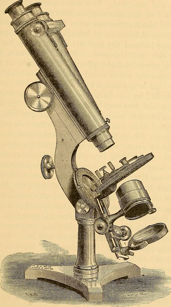 An illustration from The great inventions : their history, from the earliest period to the present. Their influence on civilization, accompanied by sketches of lives of the principal inventors; their labors, their hardships and their triumphs, 1883, leaf 152