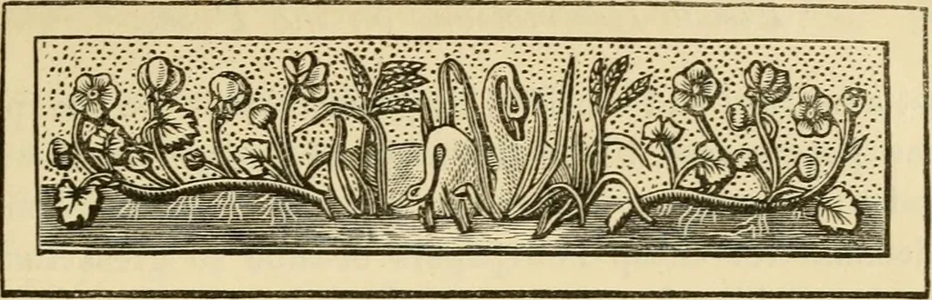 An illustration from Great movements, and those who achieved them, 1882, leaf 297