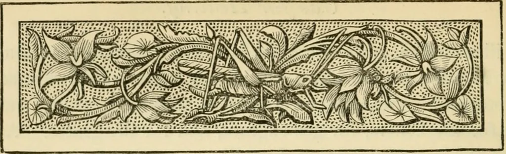 An illustration from Great movements, and those who achieved them, 1882, leaf 398