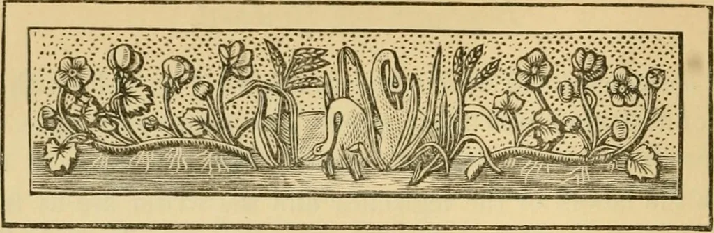 An illustration from Great movements, and those who achieved them, 1882, leaf 50