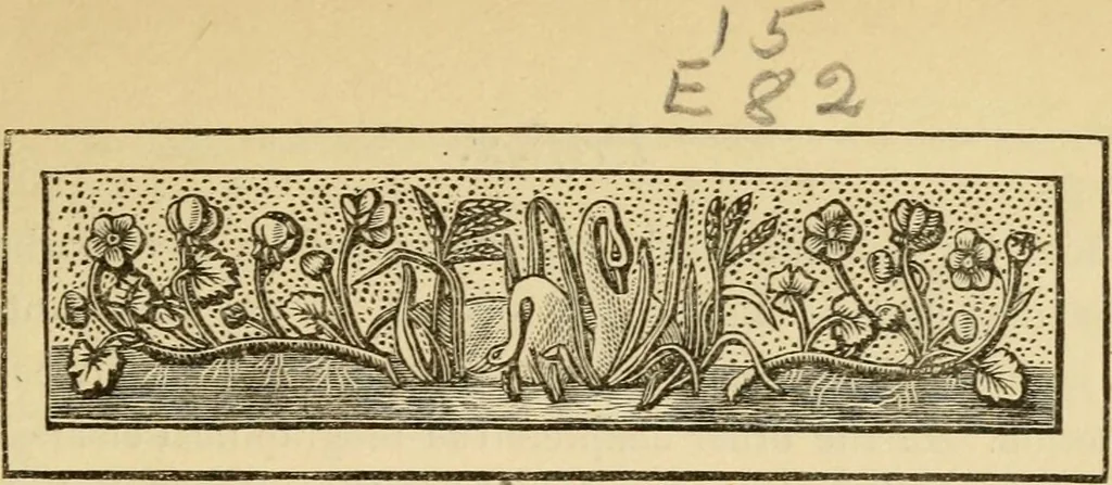 An illustration from Great movements, and those who achieved them, 1882, leaf 7
