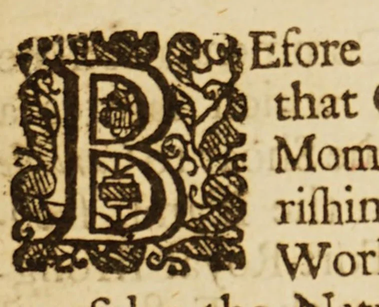 An illustration from Great nevves from the Barbadoes. Or, A true and faithful account of the grand conspiracy of the Negroes against the English. And the happy discovery of the same. With the number of those that were burned alive, beheaded, and otherwise executed for their horrid crimes. With a short discription of that plantation. With allowance, 1676, leaf 9