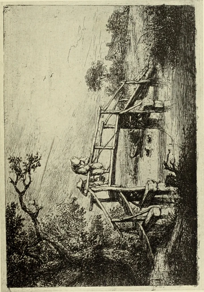An illustration from The great painter-etchers from Rembrandt to Whistler, 1914, leaf 104