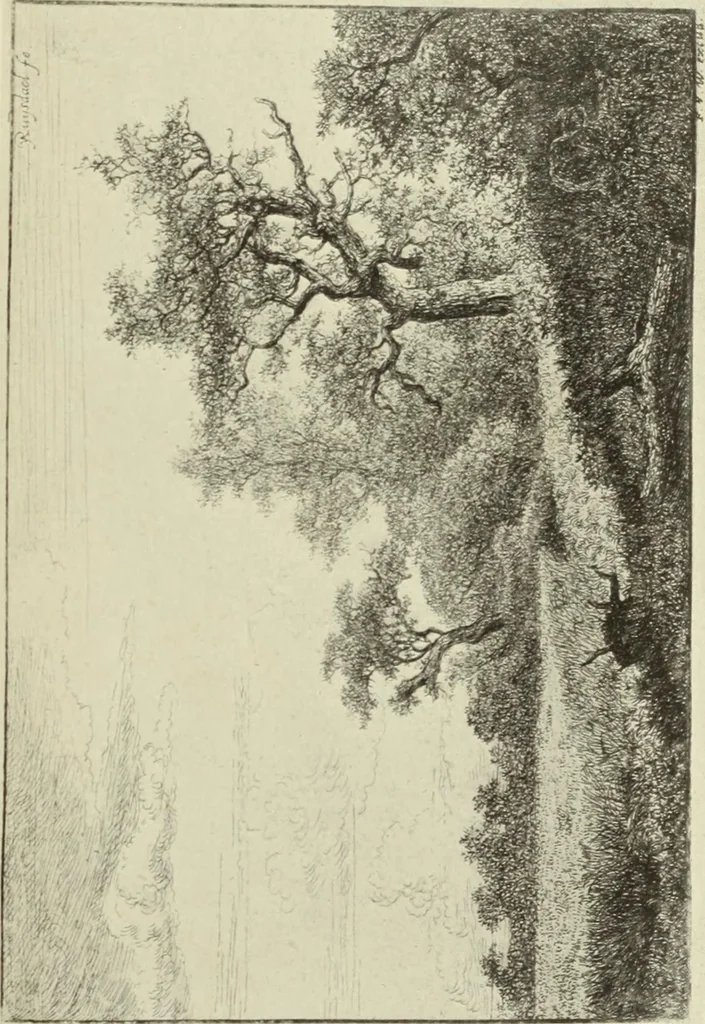 An illustration from The great painter-etchers from Rembrandt to Whistler, 1914, leaf 122