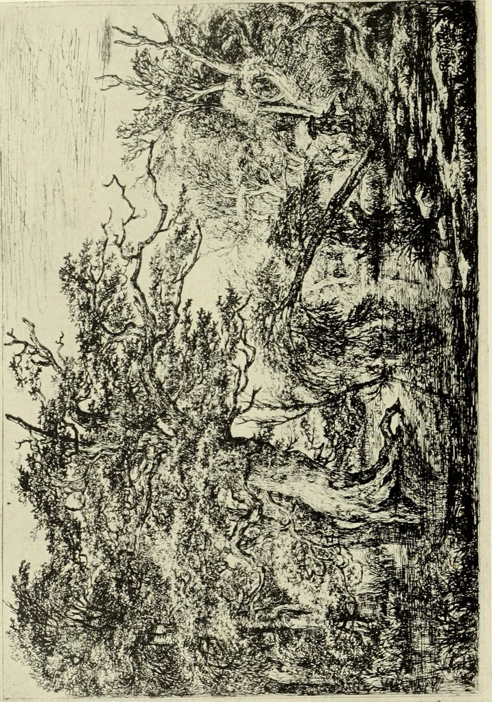 An illustration from The great painter-etchers from Rembrandt to Whistler, 1914, leaf 123