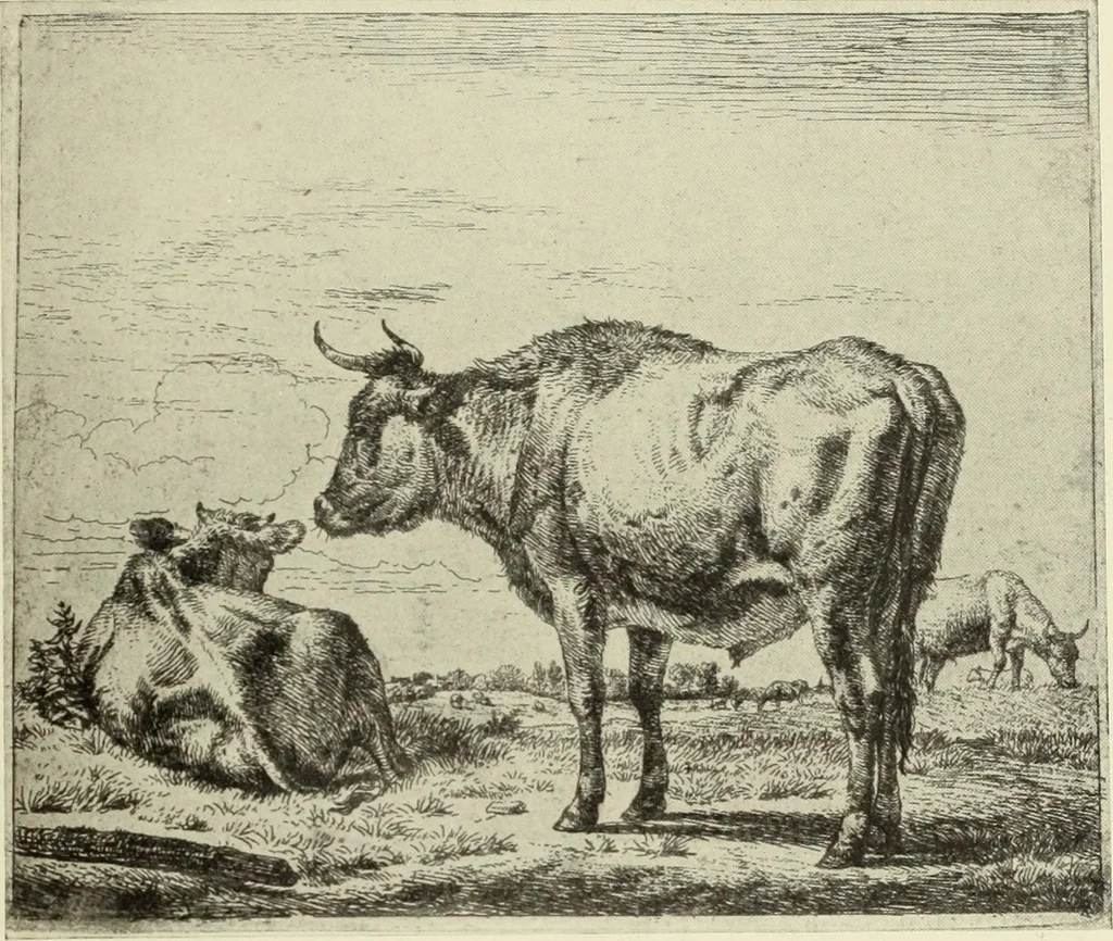 An illustration from The great painter-etchers from Rembrandt to Whistler, 1914, leaf 134