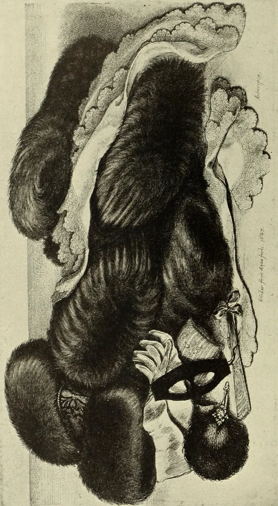 An illustration from The great painter-etchers from Rembrandt to Whistler, 1914, leaf 159