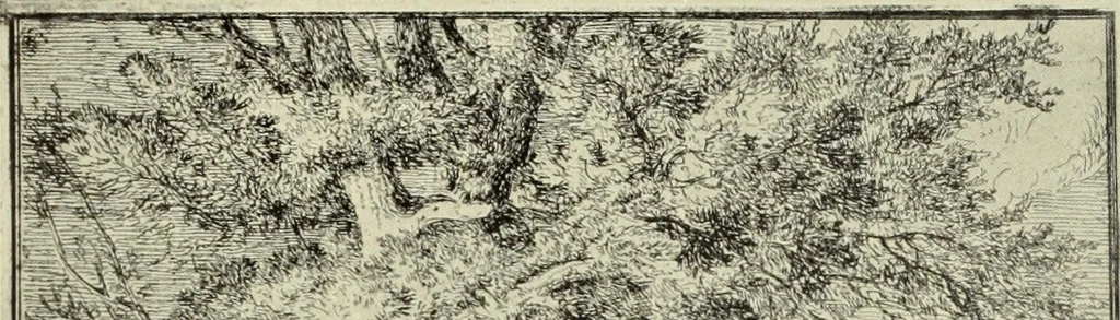 An illustration from The great painter-etchers from Rembrandt to Whistler, 1914, leaf 190