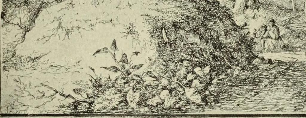 An illustration from The great painter-etchers from Rembrandt to Whistler, 1914, leaf 190