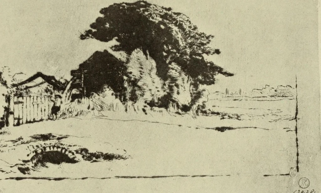 An illustration from The great painter-etchers from Rembrandt to Whistler, 1914, leaf 196