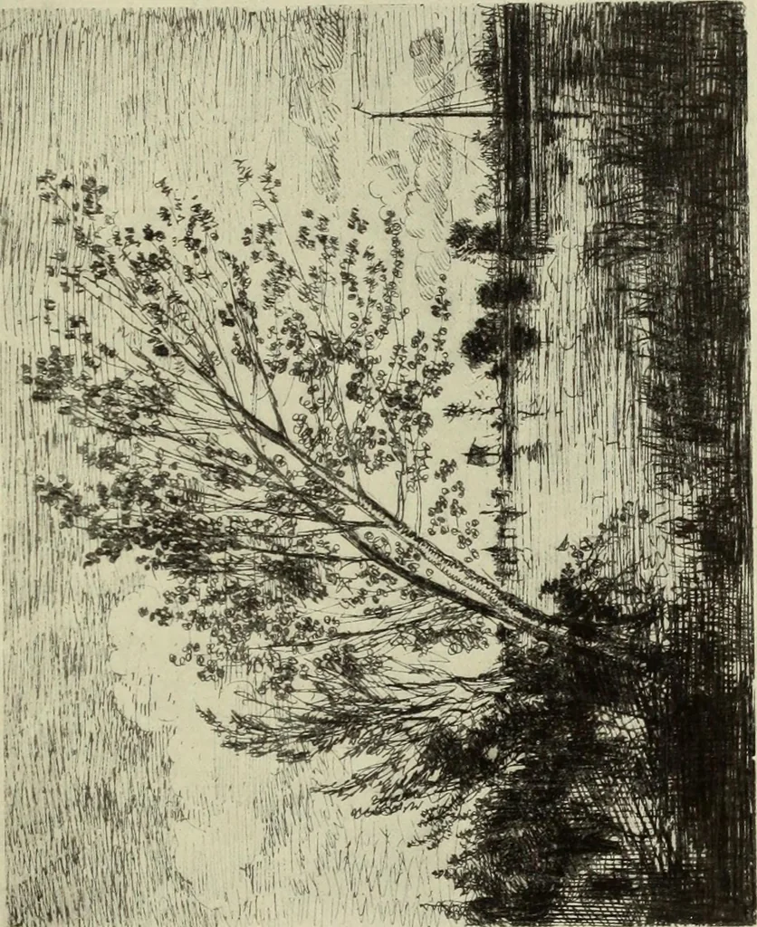 An illustration from The great painter-etchers from Rembrandt to Whistler, 1914, leaf 206