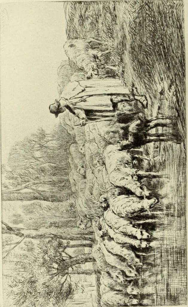 An illustration from The great painter-etchers from Rembrandt to Whistler, 1914, leaf 213