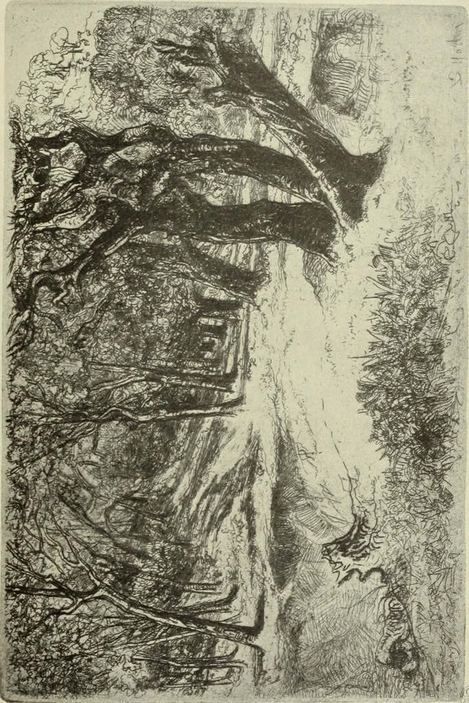 An illustration from The great painter-etchers from Rembrandt to Whistler, 1914, leaf 236