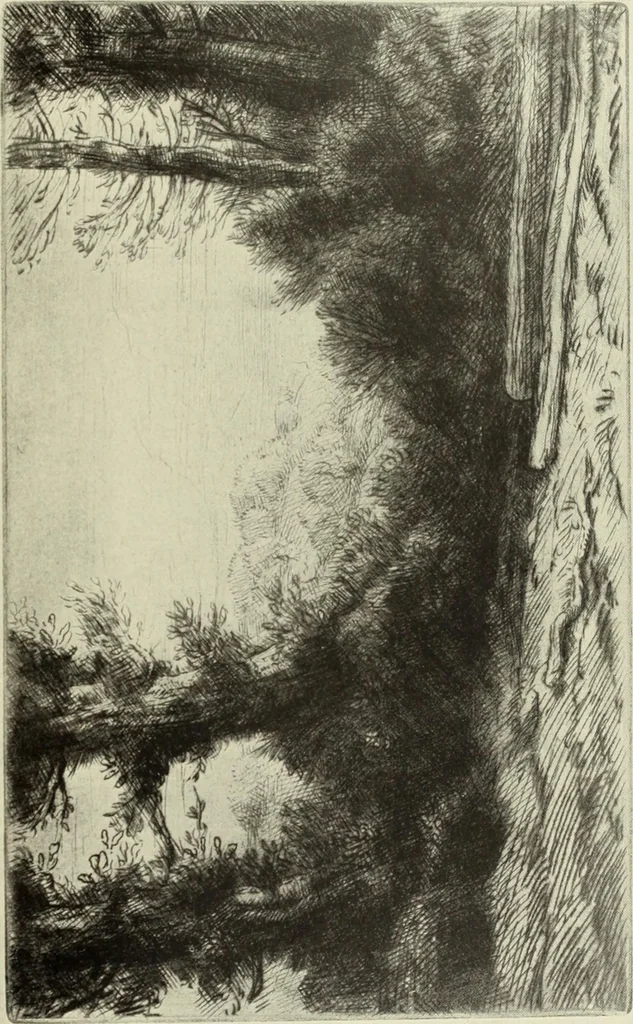 An illustration from The great painter-etchers from Rembrandt to Whistler, 1914, leaf 254