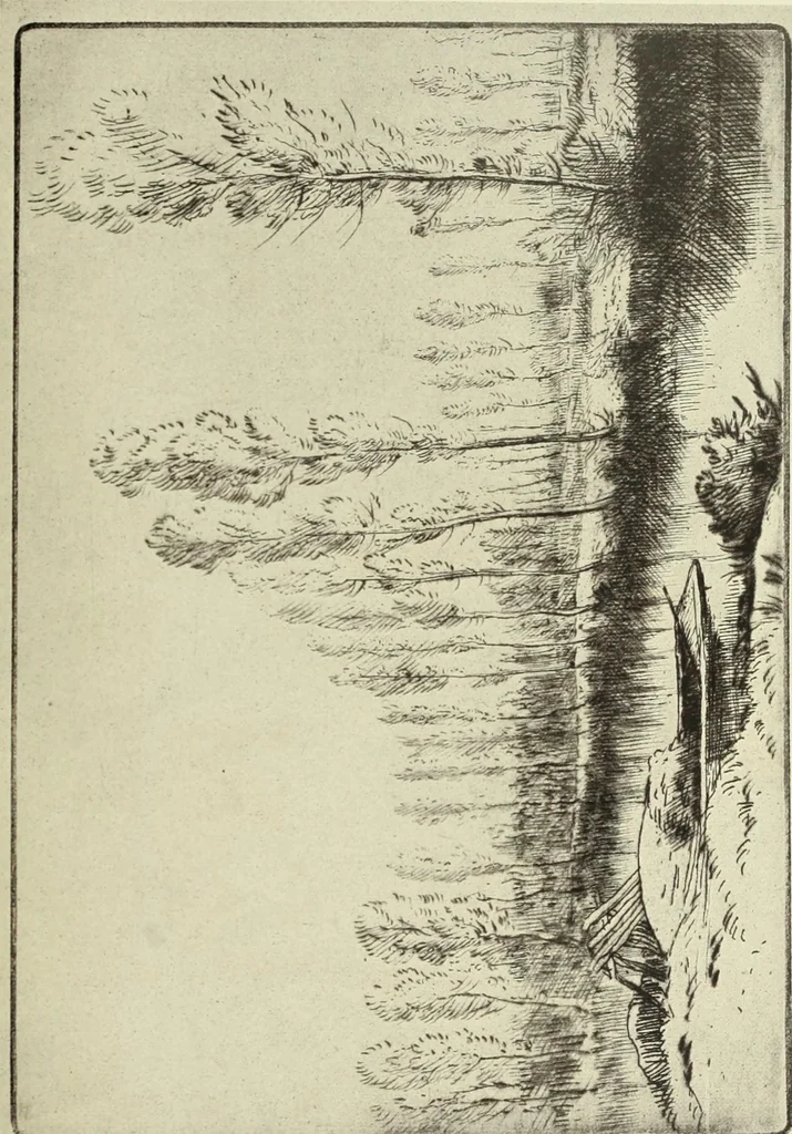 An illustration from The great painter-etchers from Rembrandt to Whistler, 1914, leaf 256