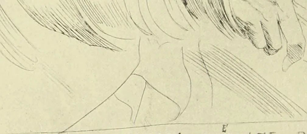 An illustration from The great painter-etchers from Rembrandt to Whistler, 1914, leaf 61