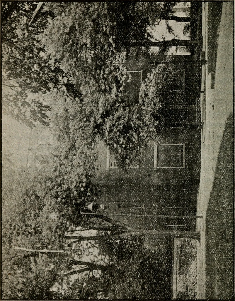 An illustration from The great treason plot in the North during the war, 1895, leaf 193