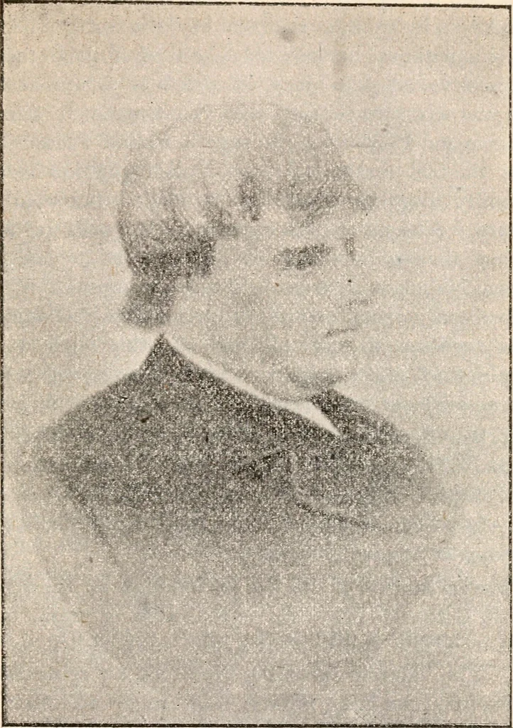 An illustration from The great treason plot in the North during the war, 1895, leaf 338