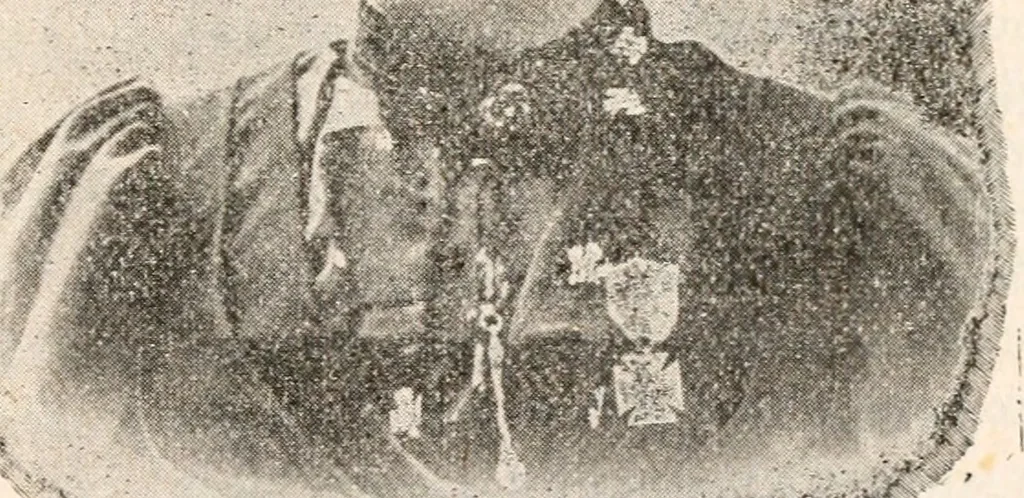 An illustration from The great treason plot in the North during the war, 1895, leaf 436