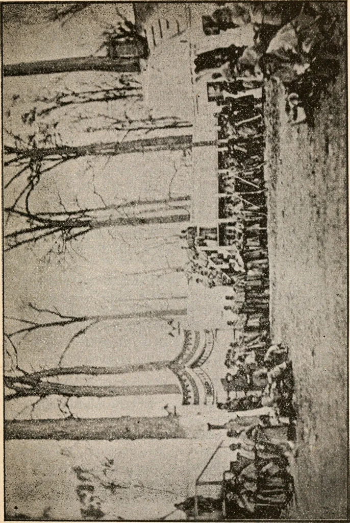 An illustration from The great treason plot in the North during the war, 1895, leaf 70