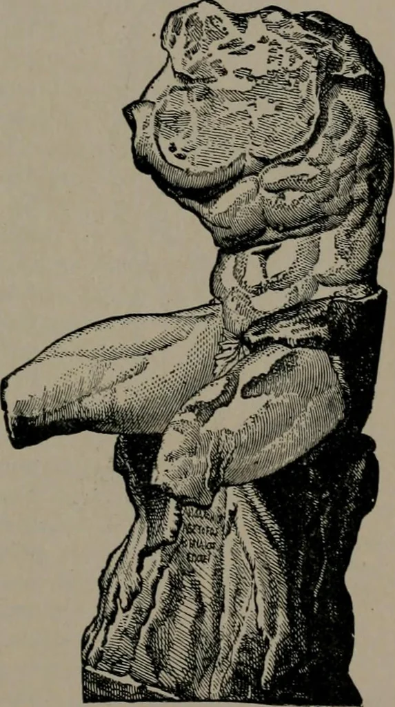 An illustration from Greek architecture, 1892, leaf 136