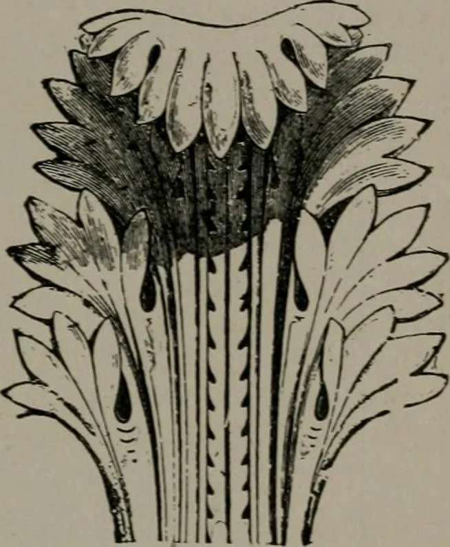 An illustration from Greek architecture, 1892, leaf 58