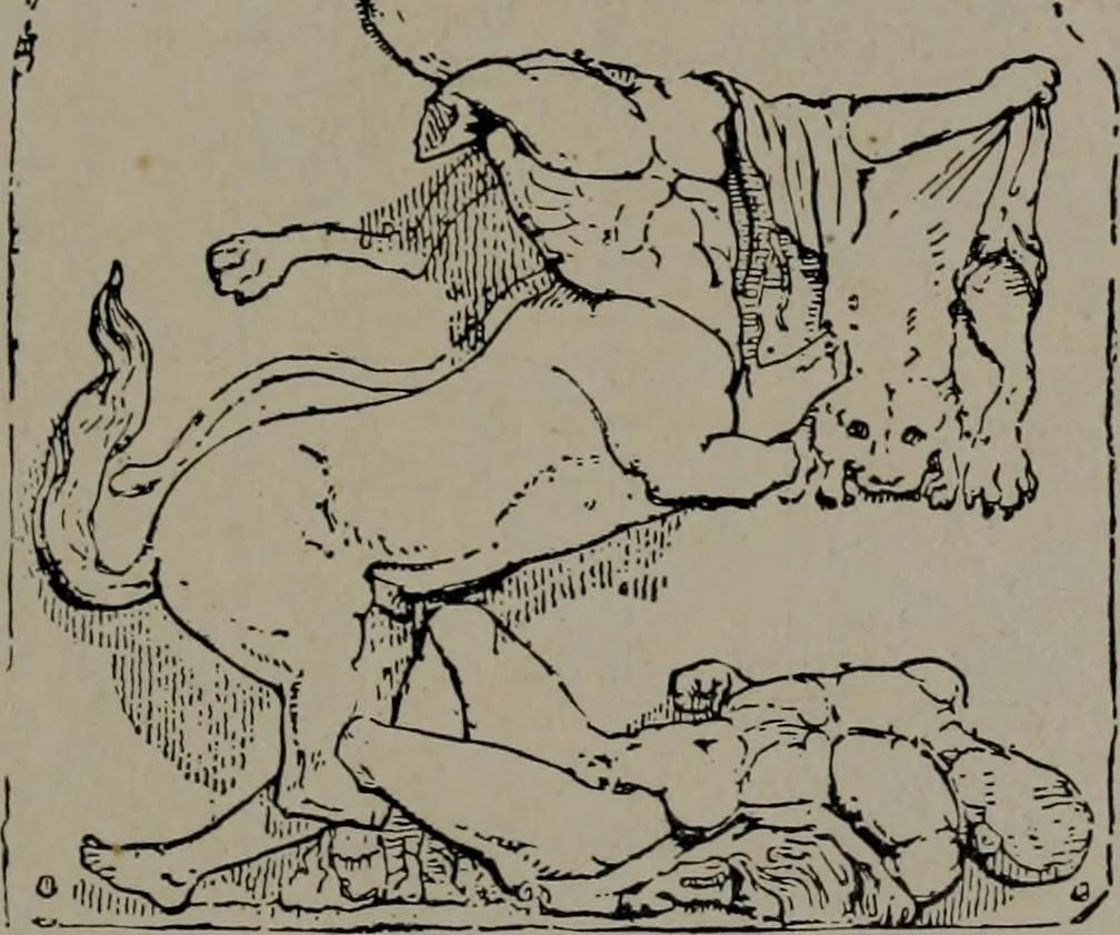 An illustration from Greek architecture, 1892, leaf 96