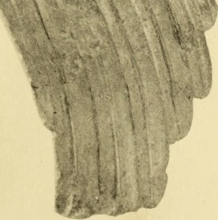 An illustration from Greek art and national life, 1913, leaf 349